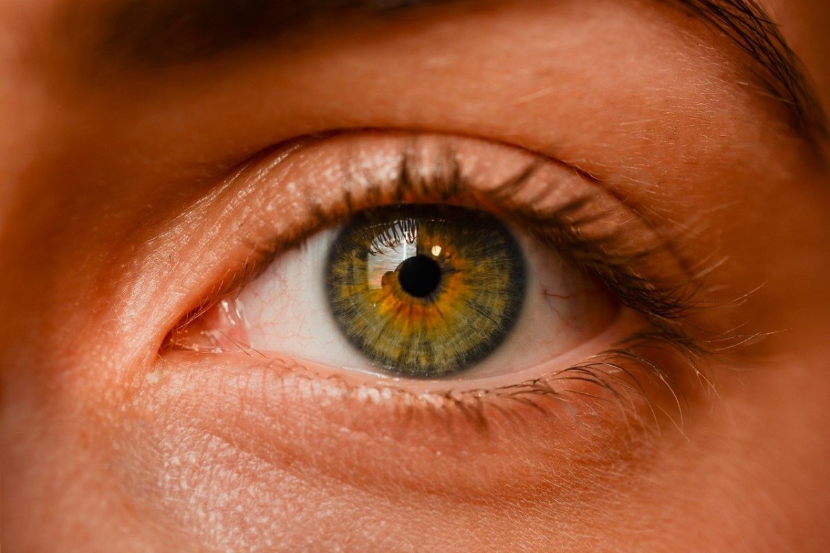 Oczy to jednostkowy organ. To naturalnie dzięki nim doświadczamy.
